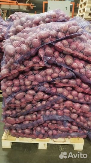 Продам картофель оптом мытый