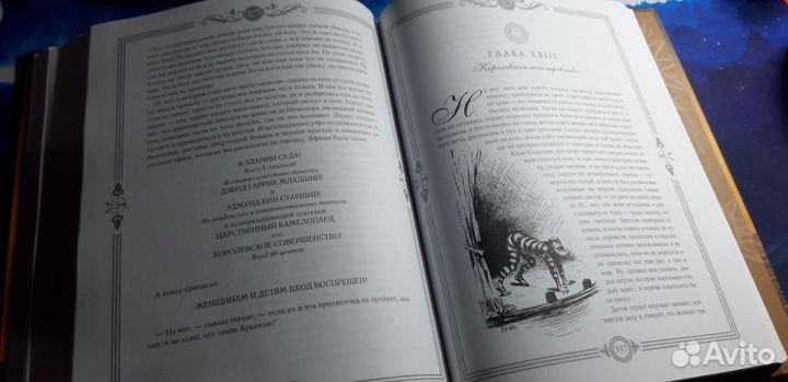 Приключения Тома Сойера и Гекльберри Финна