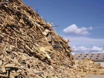 Прием и утилизация древесных отходов