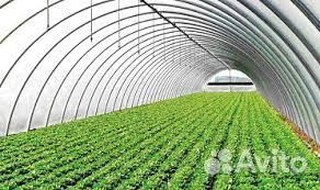 Теплица арочная