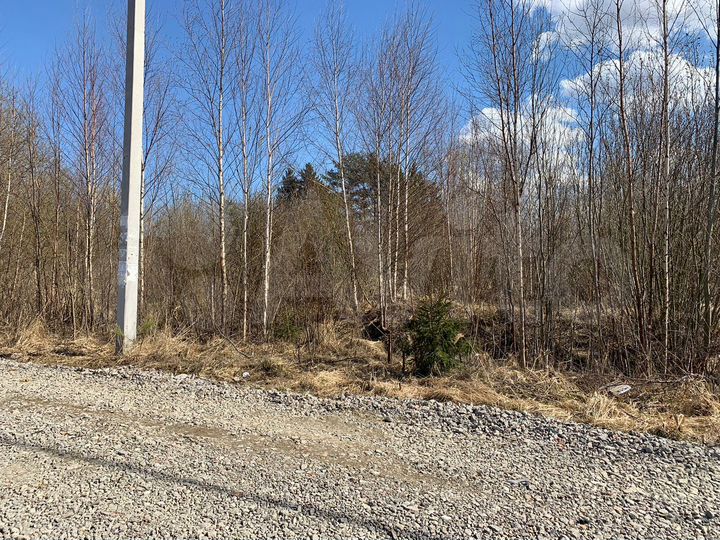 Участок 9 сот. (СНТ, ДНП)