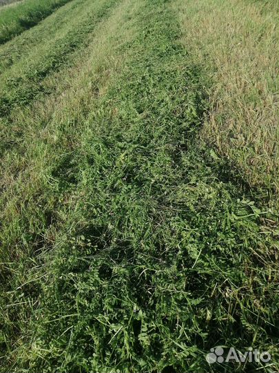 Сенаж в упаковке