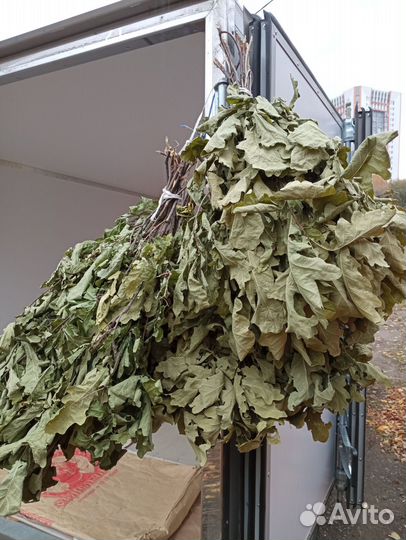 Веники для бани