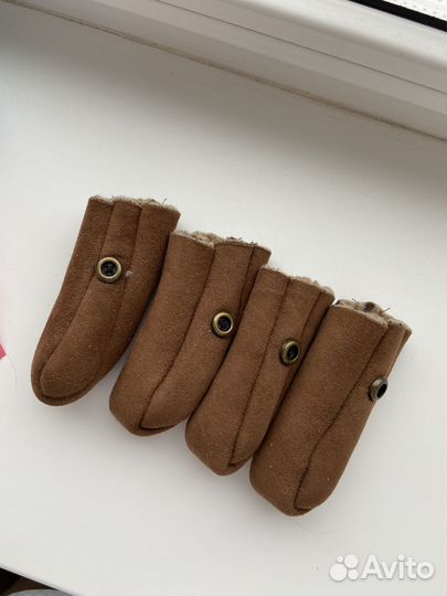 Одежда для маленьких собак