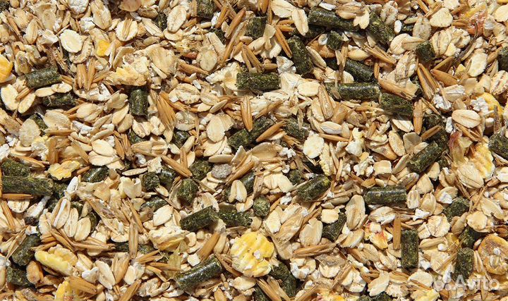 Корм для лошадей