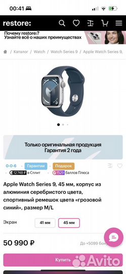 Часы apple watch 9 45 mm silver AL storrm blue