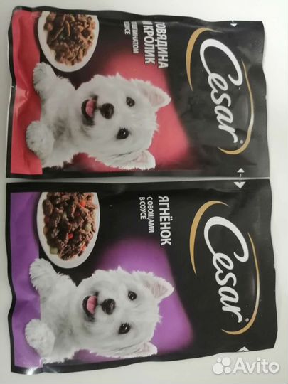 Корм для собак