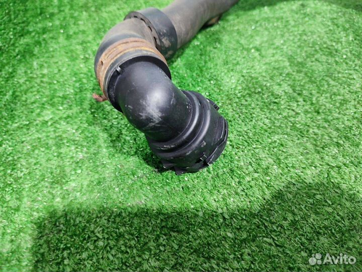 Патрубок охлаждения нижний Skoda Octavia