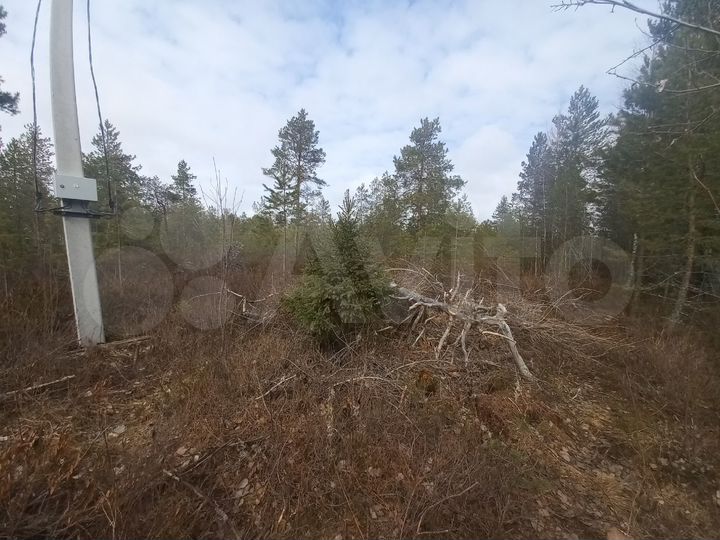Участок 12 сот. (ИЖС)