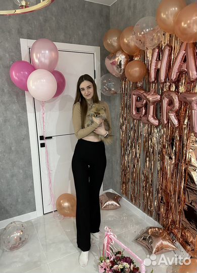 Передержка маленьких собак щенков