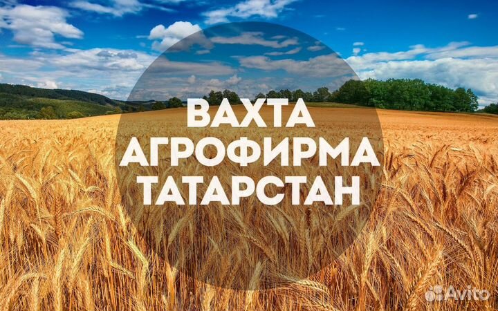 Вахта татарстан