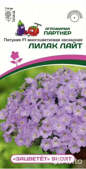 Укорененные черенки петунии