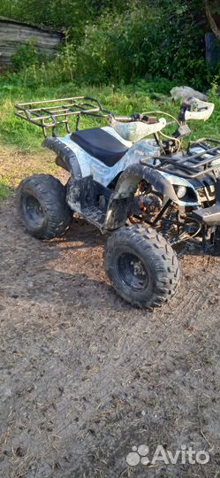 Avantis hunter 8+ lite