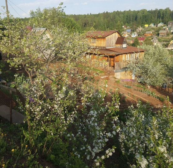 Дача 50 м² на участке 10 сот.