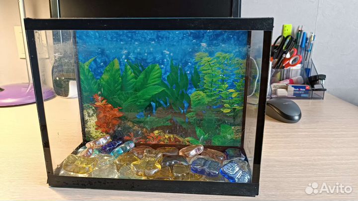 Аквариум