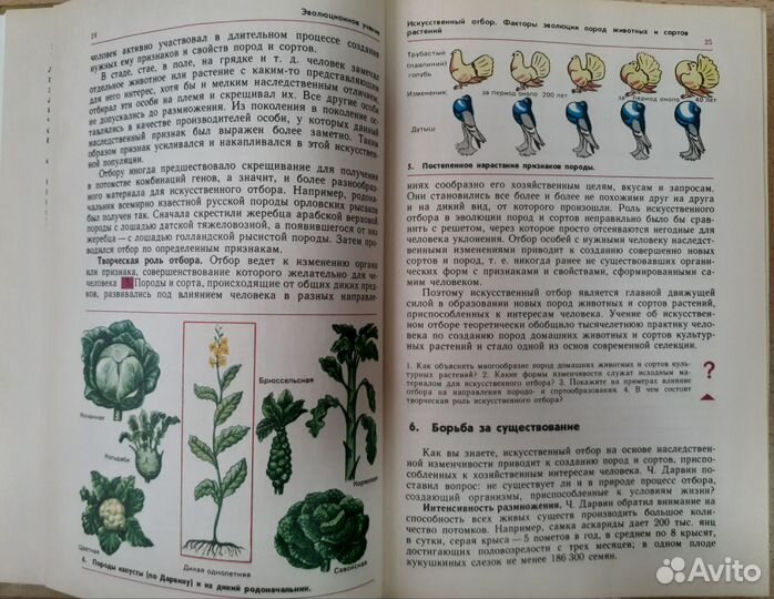 Биология 10-11 класс (Полянский 1993 год)