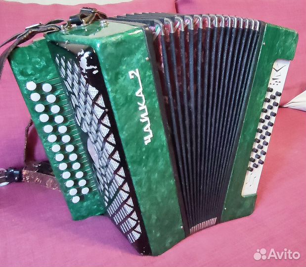 Гармонь чайка