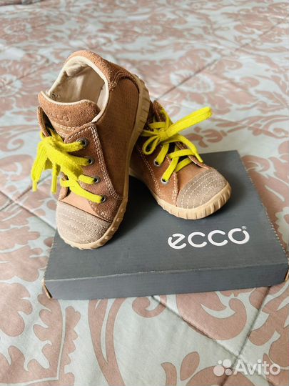 Ботинки ecco 24 р