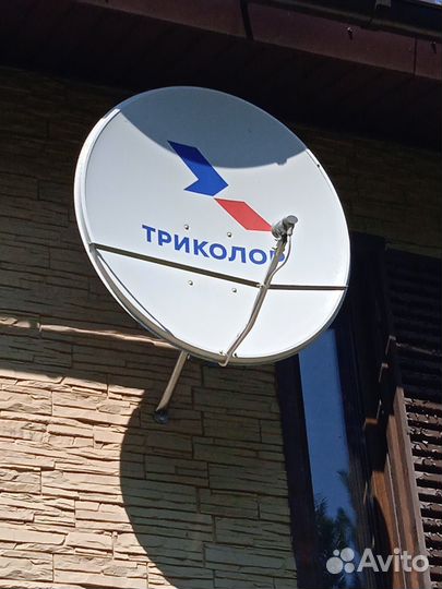 Триколор мастер (настойка, монтаж)