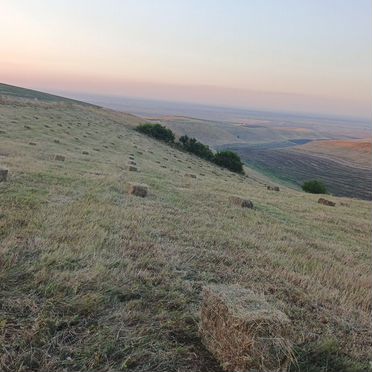 Сено в тюках солома 250 150