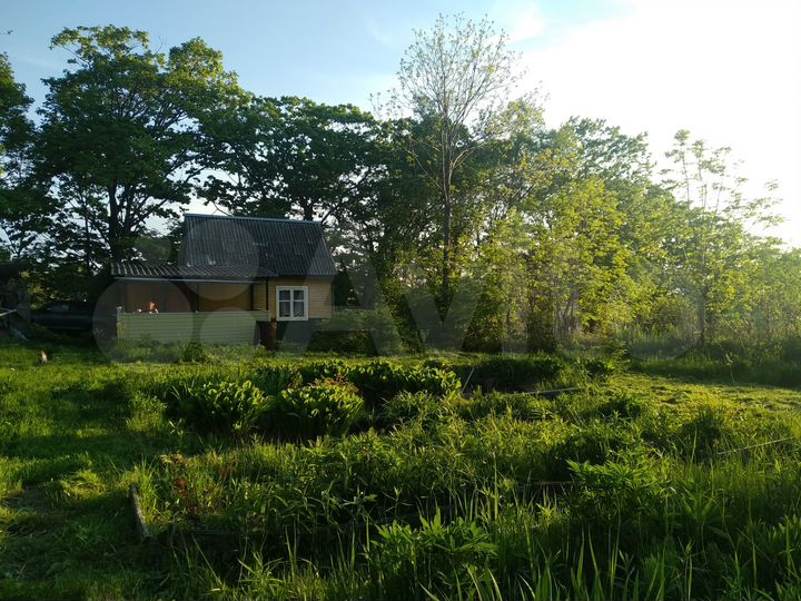 Дача 24 м² на участке 9,5 сот.