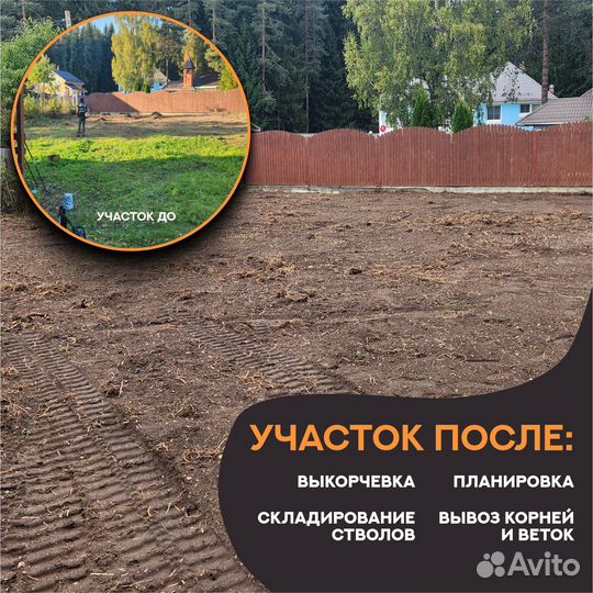 Спил деревьев. Корчевание пней. Расчистка участка
