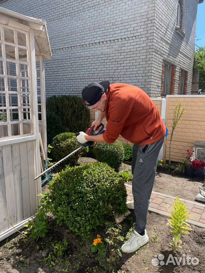 Стрижка кустов