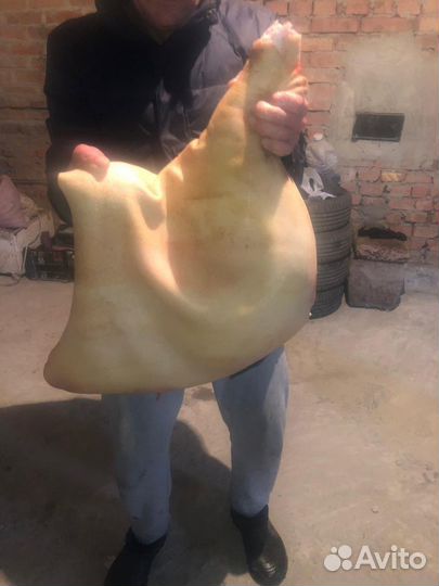 Мясо свинины,домашнее