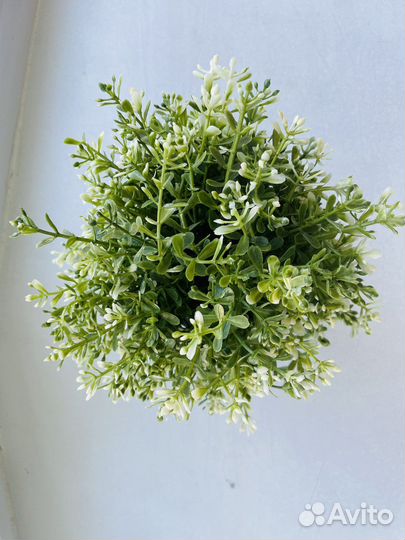 Искусственное растение IKEA фейка