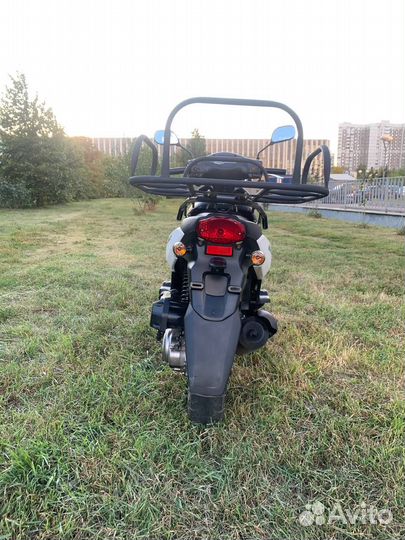 Скутер SYM orbit 50 - 2022, белый