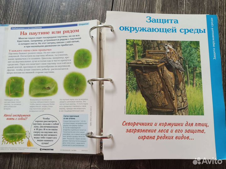 Книга энциклопедия Тайны леса