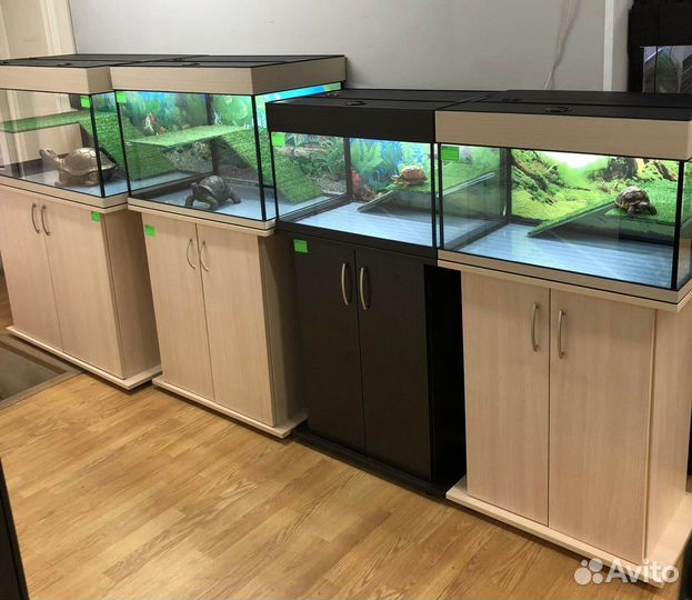 Аквариум для красноухой черепахи