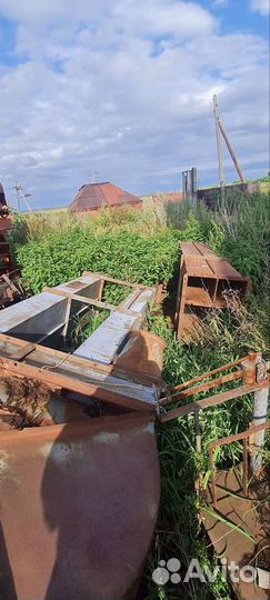 Овс зерномет рум