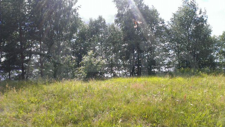 Участок 50 га (СНТ, ДНП)