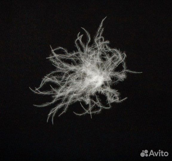 Белый гусиный пух FillPower 950+