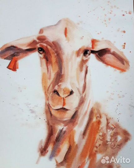 Акварель картины 80х60, оригиналы