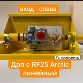 Домовой регуляторный пункт дрп с RF 25 Arctic