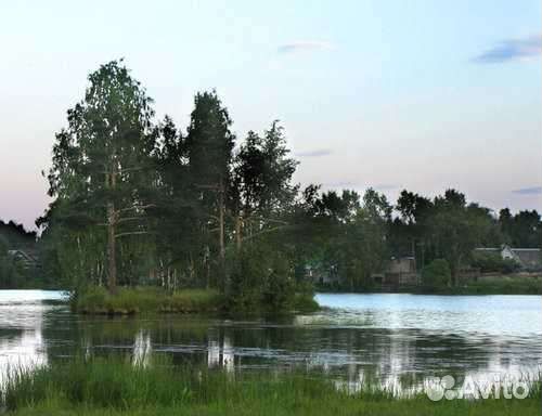 Прогулки верхом на лошадях и пони