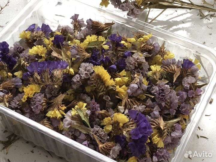 Цветы сухоцветы