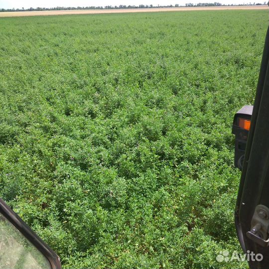 Сено солома в тюках