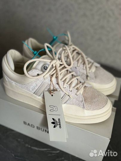 Adidas campus bad bunny