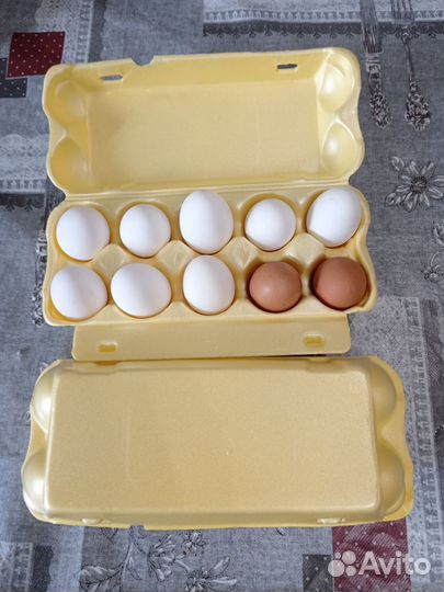 Домашние куриные яйца