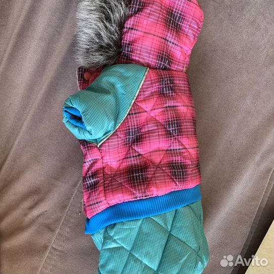 Одежда для животных