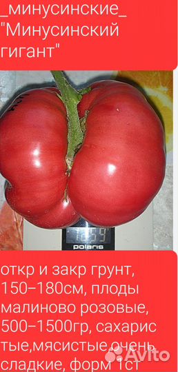 Семена урожайных сортов