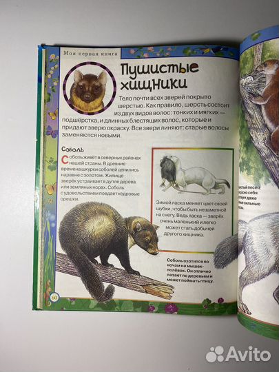 «Моя первая книга о животных» А. Никишин 2007