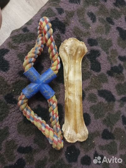 Шлейка, намордник, игрушки