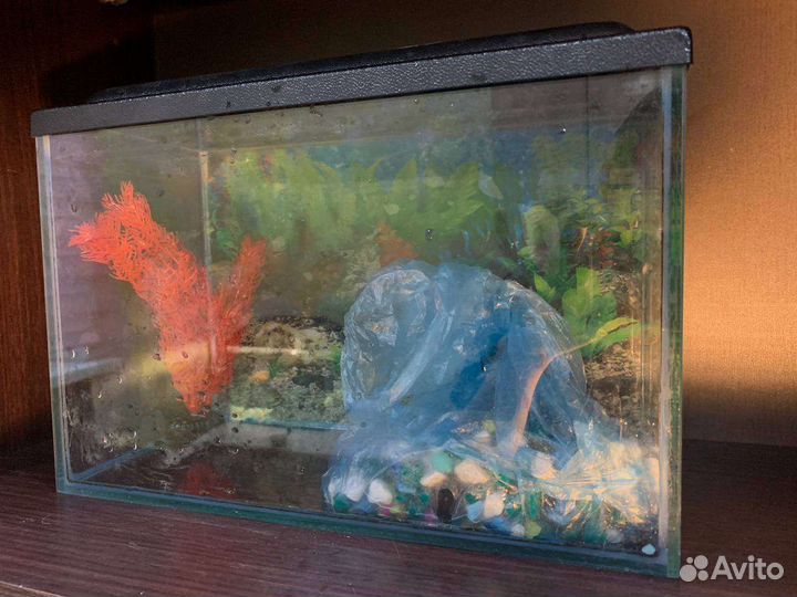 Аквариум