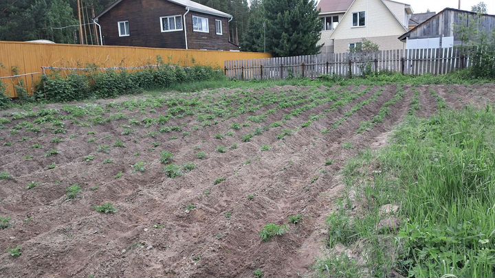 Участок 4,9 сот. (СНТ, ДНП)