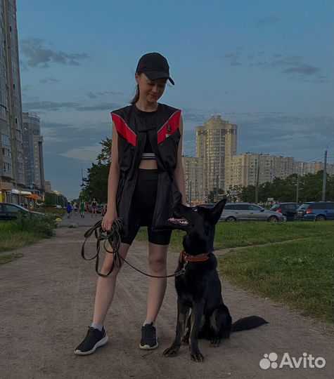 Кинолог / передержка с дрессировкой