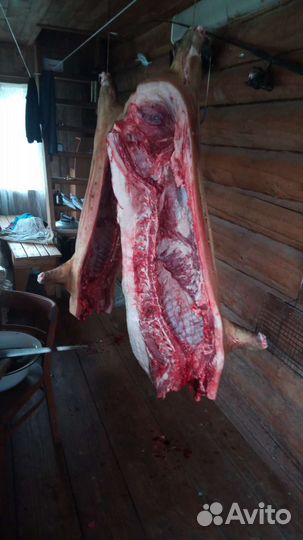 Мясо свинины домашняя